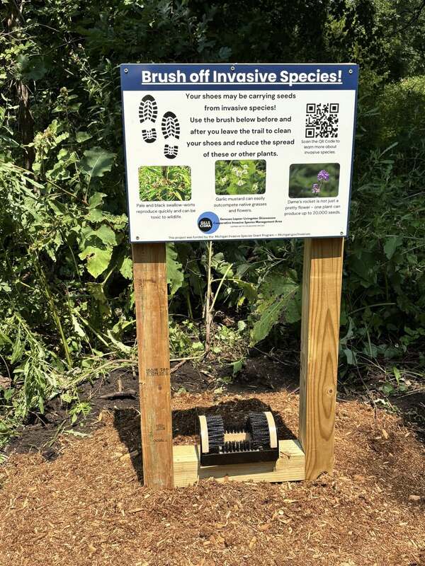 New Birding & Walking Trail In Conway Township