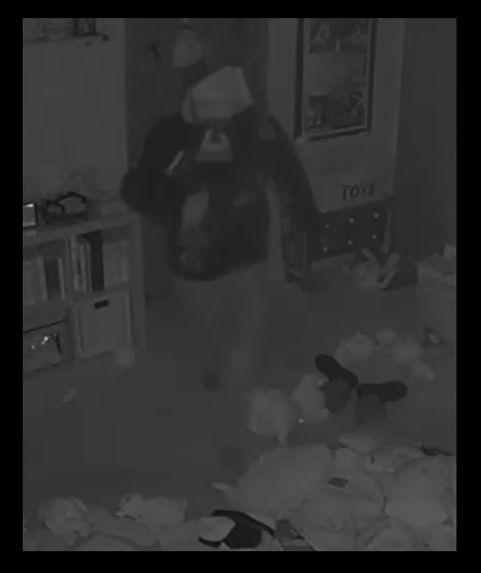 Green Oak Twp Police Seek Information Pertaining to Break-in Suspect