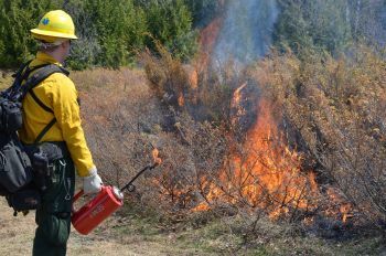 MDNR To Resume Prescribed Burns