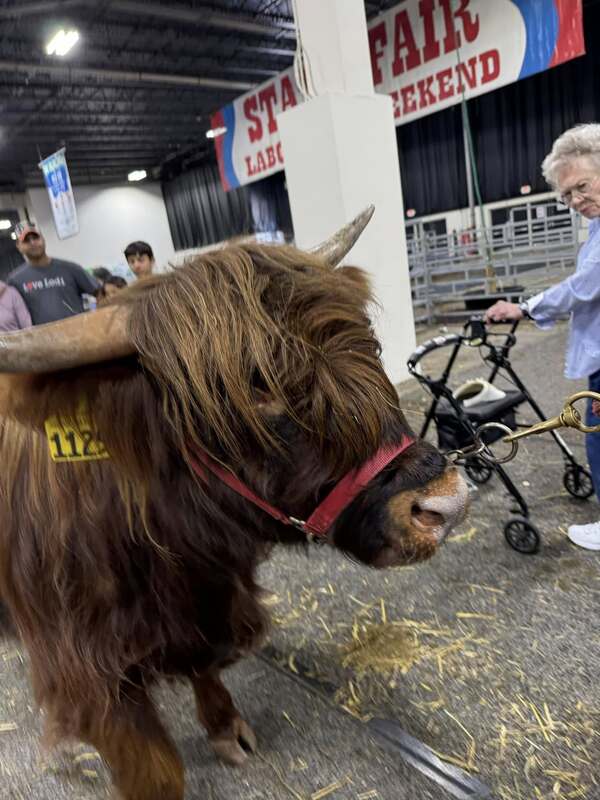 Michigan State Fair Opens in Novi