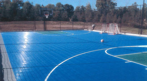 Basketball Court Slated For Genoa Township Hall Property
