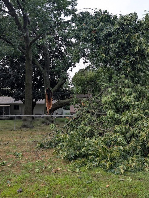 Melon Festival to Resume Sunday After Storms Downed Trees, Knocked Out Power