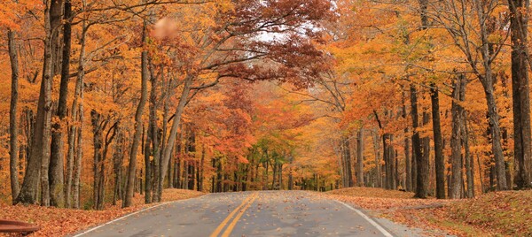 "Don't Miss" 2025 List Of Local Roads For Fall Colors