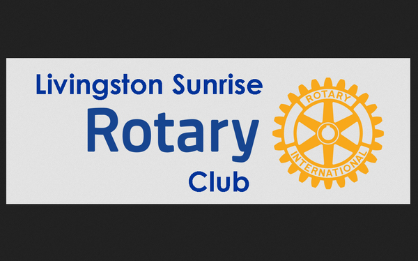 Livingston Golden Hearts Rotaract Club Launches In Livingston County