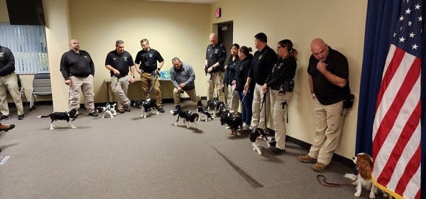 Sheriff's Comfort K9 Puppies & Handlers Meet Donors
