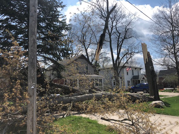 Postal Worker Injured By Falling Tree In South Lyon