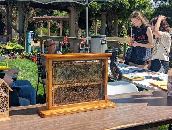 “Bee Kind” At Summer Bee Palooza 2026