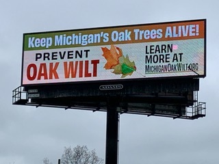 Coalition Raising Awareness About Oak Wilt Disease