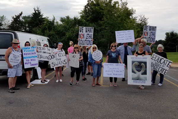 Group Protests Against Invasive Mute Swan Control Program