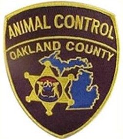 Oakland County Animal Control Seizes 38 Horses from Milford Business