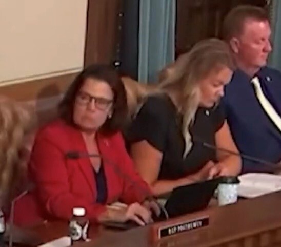 MI Select Committee Meets to Initiate Investigation of State Ballot Process