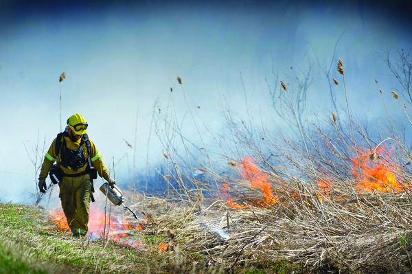 Prescribed Burn Underway At Island Lake Recreation Area