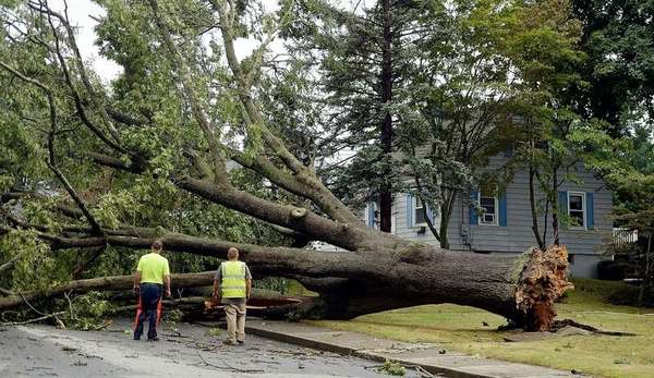 Quick Response by Brighton DPW to Storms and Outages Praised