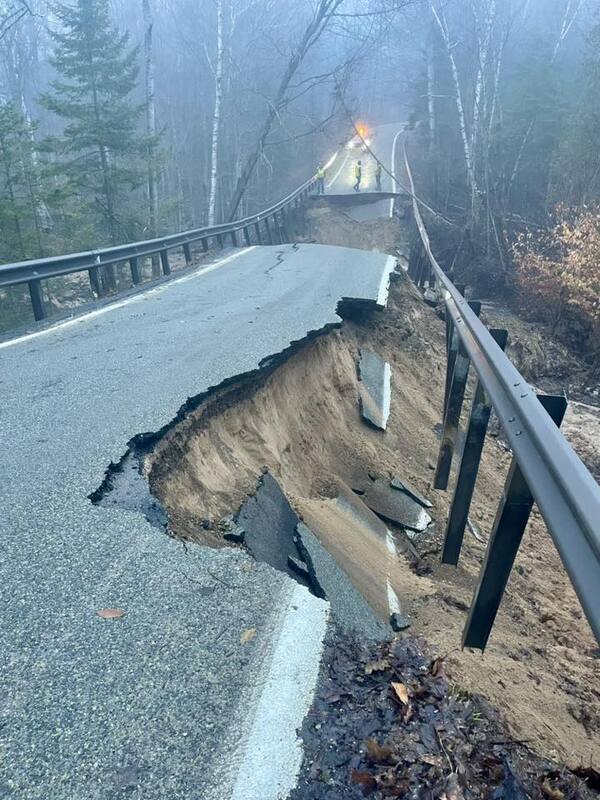 Section Of Famous "Tunnel Of Trees" Collapses