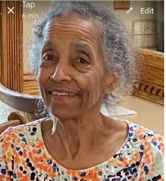 Alert Issued For Elderly Woman Last Seen In Oceola Township