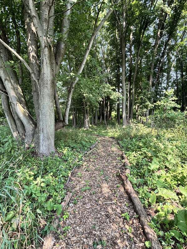 Construction at Red Cedar Roadside Park in Ingham County