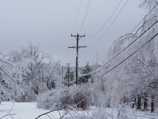 Ice Storm Moves Across Livingston County