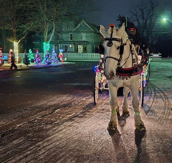Sponsors, Community Support Sought For Pinckney's Light Up The Park