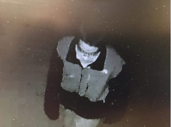 Police Seek Suspect In Vehicle Break-Ins