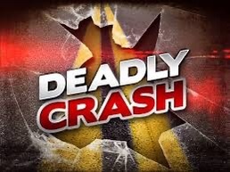 Fowlerville Man Identified As Driver in Fatal Crash