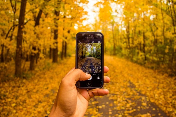 Photo Scavenger Hunt To Benefit Nonprofit Bountiful Harvest