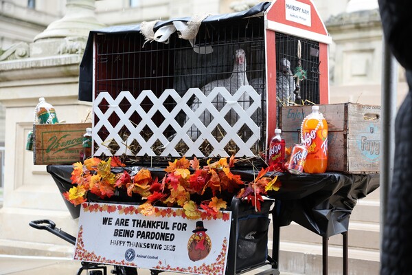Governor Whitmer Pardons Thanksgiving Turkey Sisters Faygo & Vernors