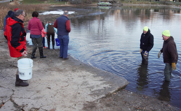 Northern Pike Recently Restocked In Thompson Lake