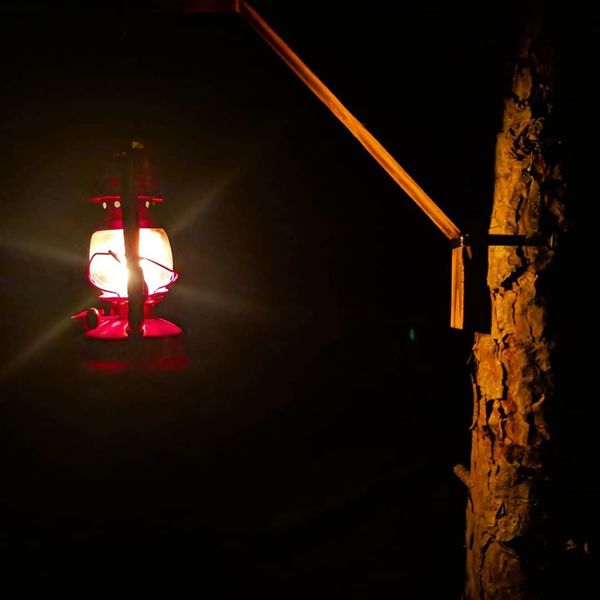 Lantern Hike At Island Lake Rec Area This Weekend