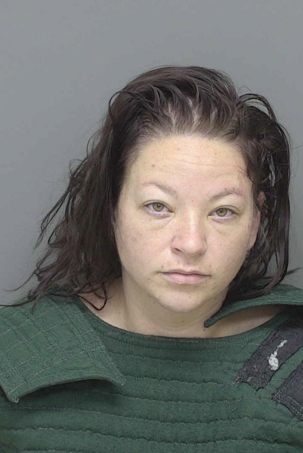 Jackson Woman Admits Breaking Into Home After Police Chase