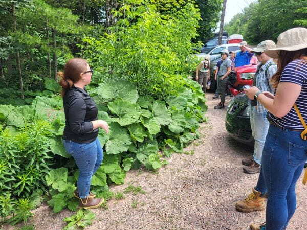 MI Doles Out $3.6M Through Invasive Species Grant Program