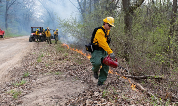 Prescribed Burn In Highland Township