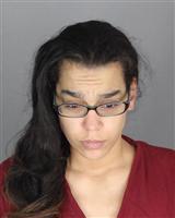Lyon Twp. Woman Enters Plea In Police Impersonation Incident