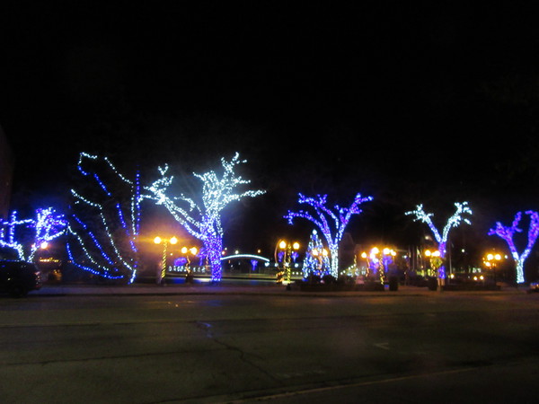 Mill Pond Park in Downtown Brighton Gets New Holiday Lights