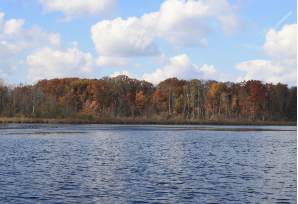 Suspect Sought For Vandalism At Round Lake Nature Preserve