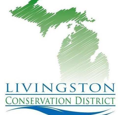 Fun Family Field Day Event This Saturday