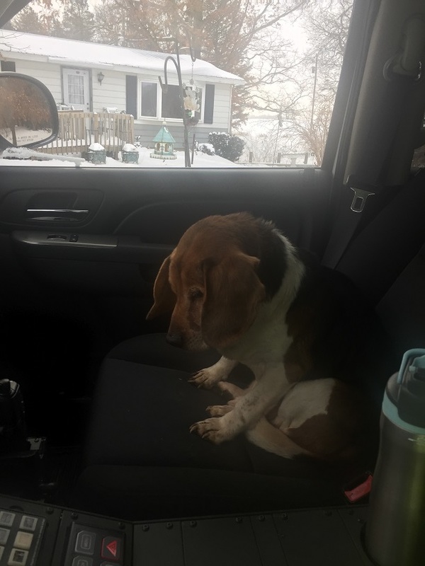 Lost Dog Reunited With Owner In Stockbridge