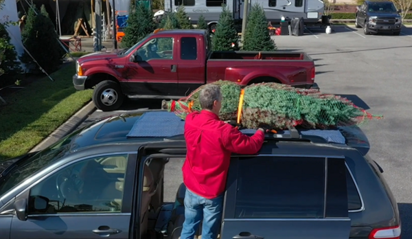 AAA Safety Alert: Secure Your Christmas Tree Before Driving It Home