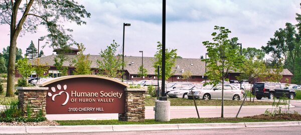 HSHV Highlights Risk To Pets When Owners Suddenly Taken Or Hospitalized