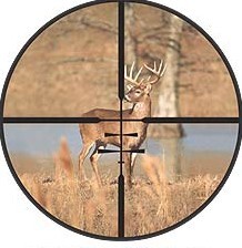 New Mandatory Online Deer Harvest Reporting