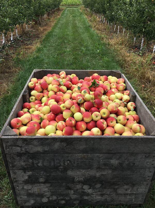 October Is Michigan Agritourism Month
