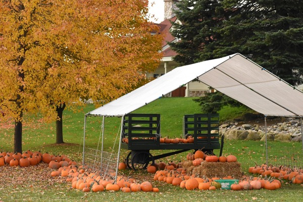 New Fall Programs & Events At Local Metroparks