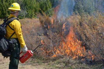 Prescribed Burn For 20 Acres In Highland Township