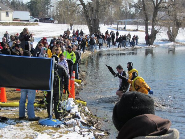 Hartland and Brighton High Schools Participate in Polar Plunge for Special Olympics