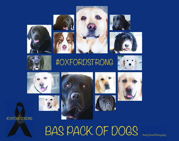 BAS Pack Of Dogs To Help Comfort Oxford Students