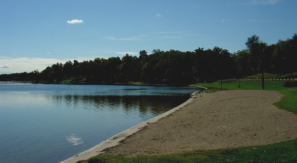 City Working To Address Water Fowl Issues At Thompson Lake