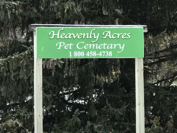 Judge's Order Halts Pet Cemetery Sale