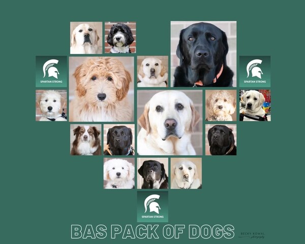 BAS Pack Of Dogs To Visit MSU Monday