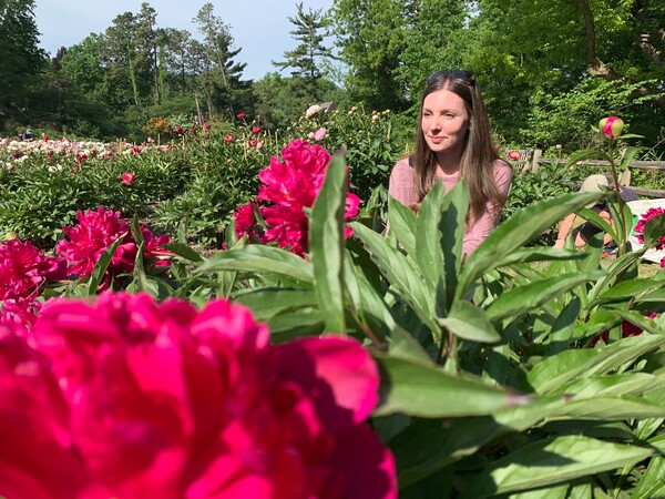 Thousands Making Annual Peony Pilgrimage To U Of M’s Garden