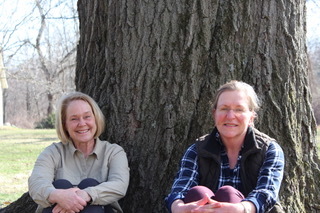 Coalition Raising Awareness About Oak Wilt Disease