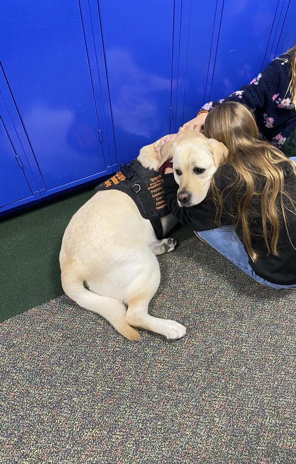 BAS Pack Of Dogs Back In Oxford To Comfort Students